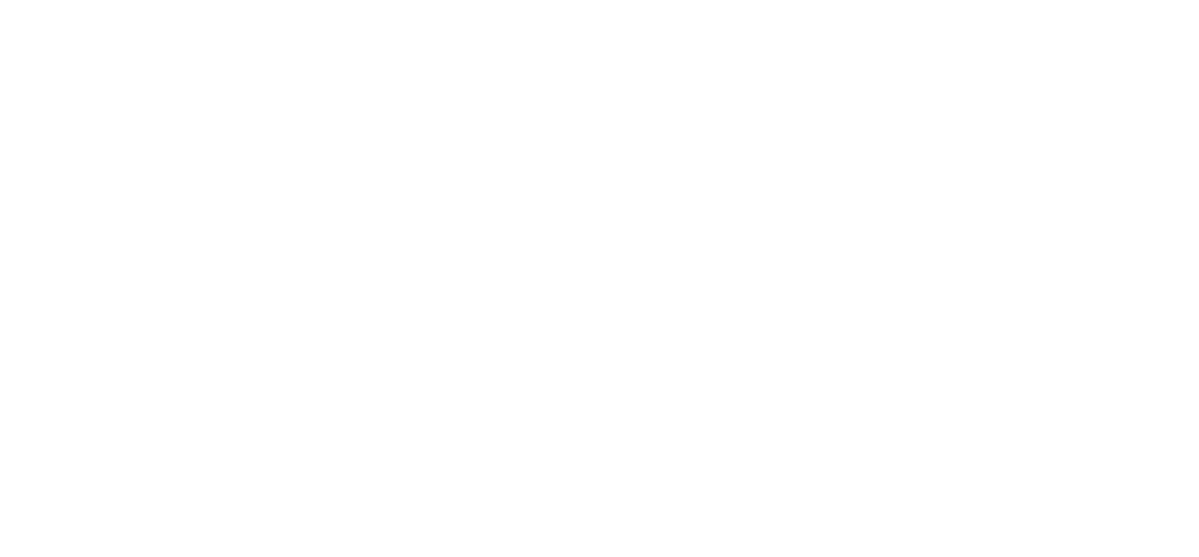 Medici Global Ventures