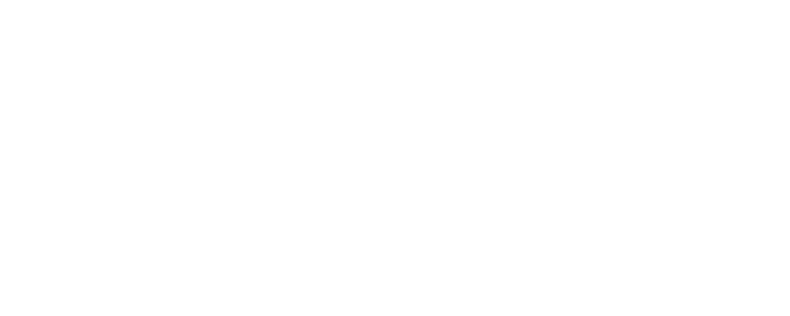 Scale SEE