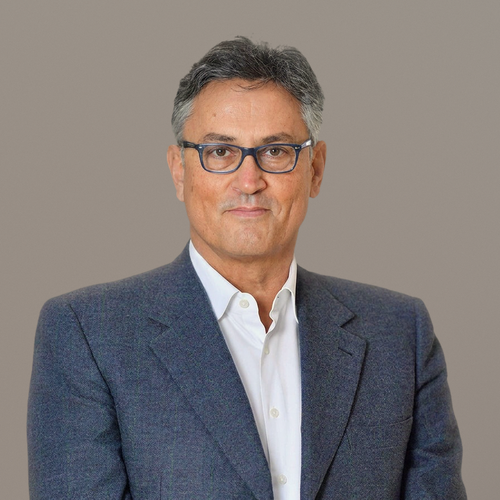 Prof. Dr Goran Pitic
