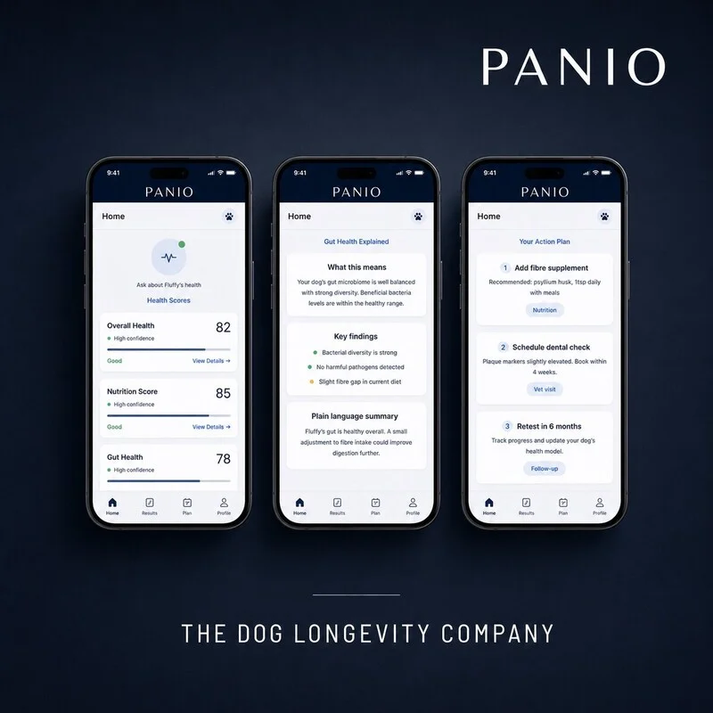 portfolio-1/PANIO-Product-2