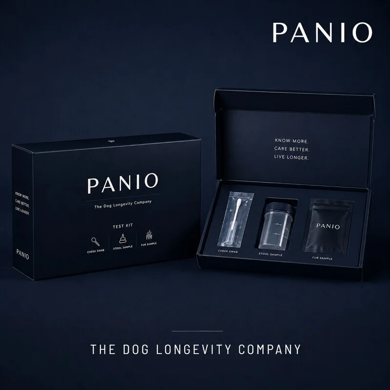 portfolio-1/PANIO-Product-3